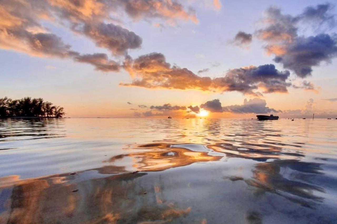 Haapiti Auti Studio Direct Access To The Beach On Moorea With Ac -Wifi - Netflix 아파트 외부 사진